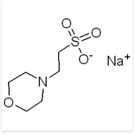 MES sodium salt   MES钠盐 