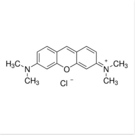 派洛宁Y,≥50% Pyronin Y    